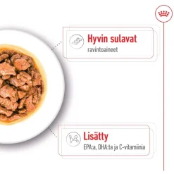 Royal Canin Koiran Märkäruoka Ja Makkarat*XS Adult märkäruoka 12 x 85 g