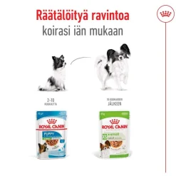 Royal Canin Koiran Märkäruoka Ja Makkarat*XS Adult märkäruoka 12 x 85 g