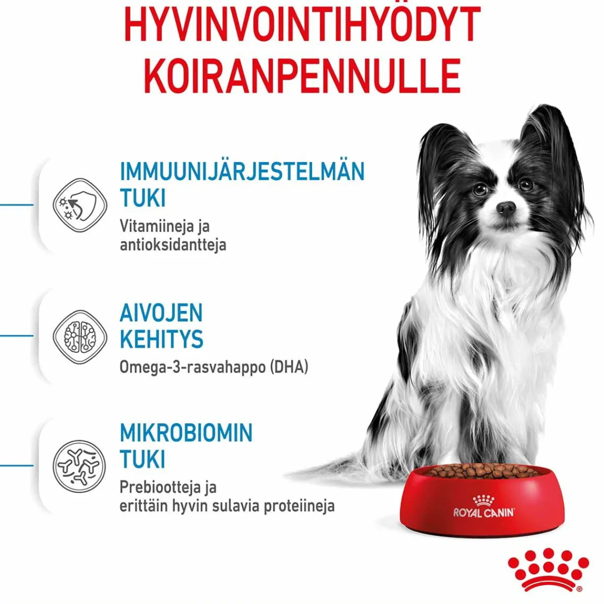 Royal Canin Penturuoka|Koiran Kuivaruoka*X-Small Puppy