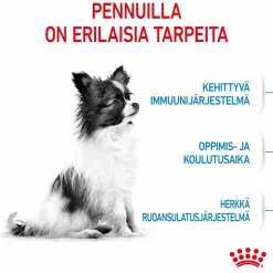 Royal Canin Penturuoka|Koiran Kuivaruoka*X-Small Puppy