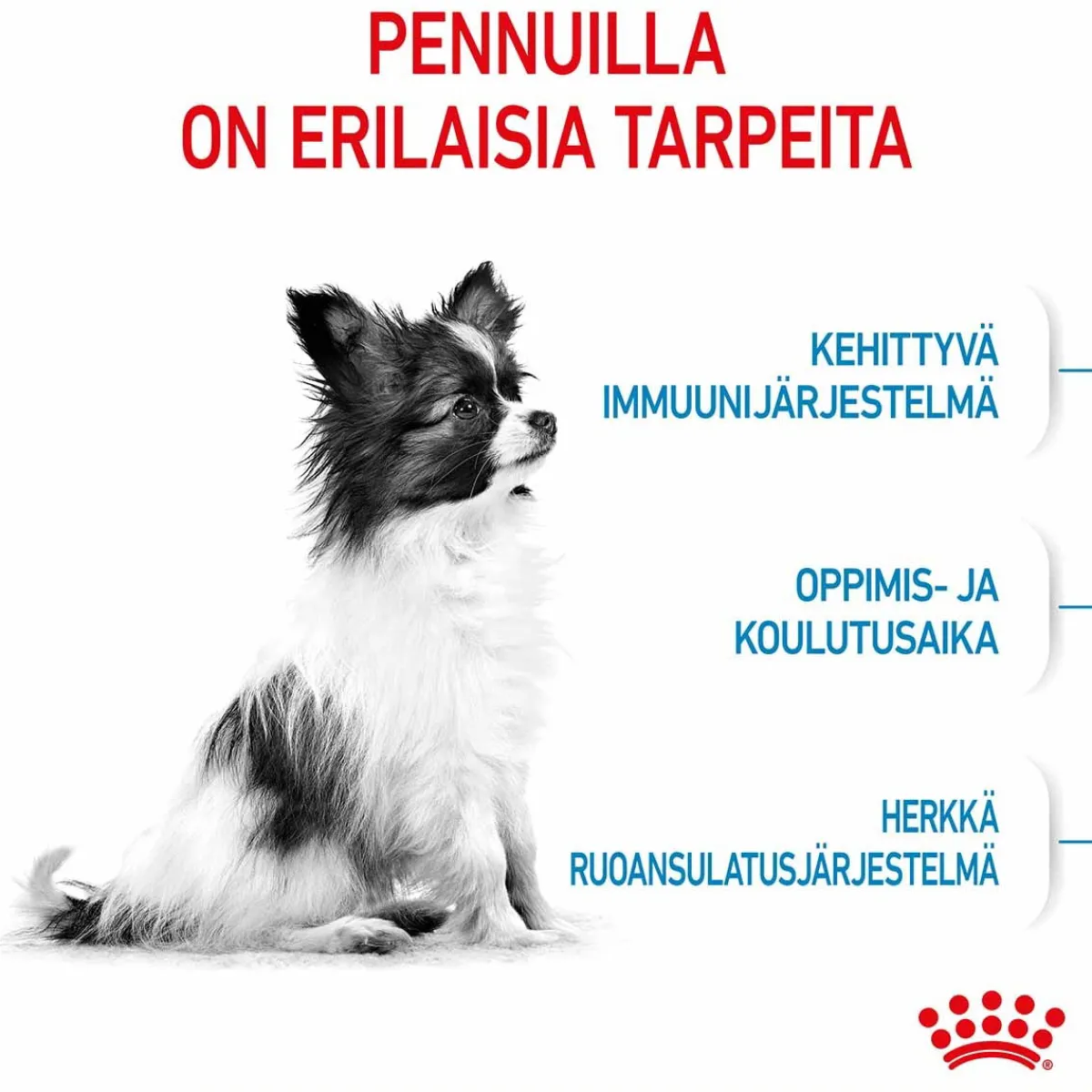 Royal Canin Penturuoka|Koiran Kuivaruoka*X-Small Puppy