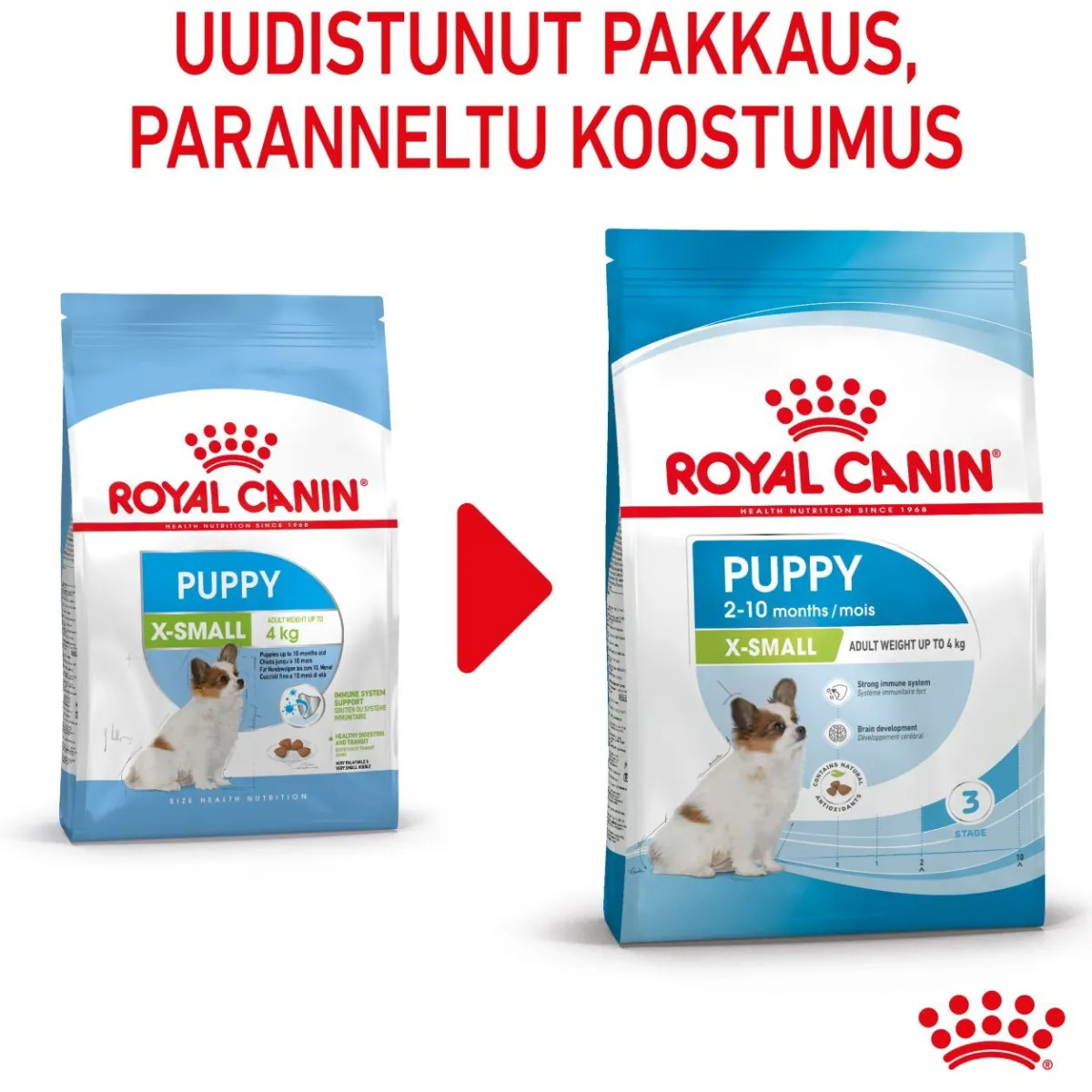 Royal Canin Penturuoka|Koiran Kuivaruoka*X-Small Puppy