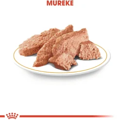 Royal Canin Tarjoukset Koirille|Koiran Märkäruoka Ja Makkarat*Yorkshire Wet 12 x 85 g