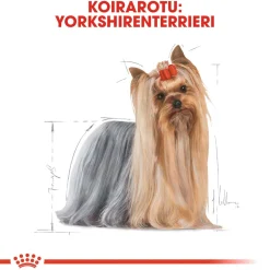 Royal Canin Tarjoukset Koirille|Koiran Märkäruoka Ja Makkarat*Yorkshire Wet 12 x 85 g
