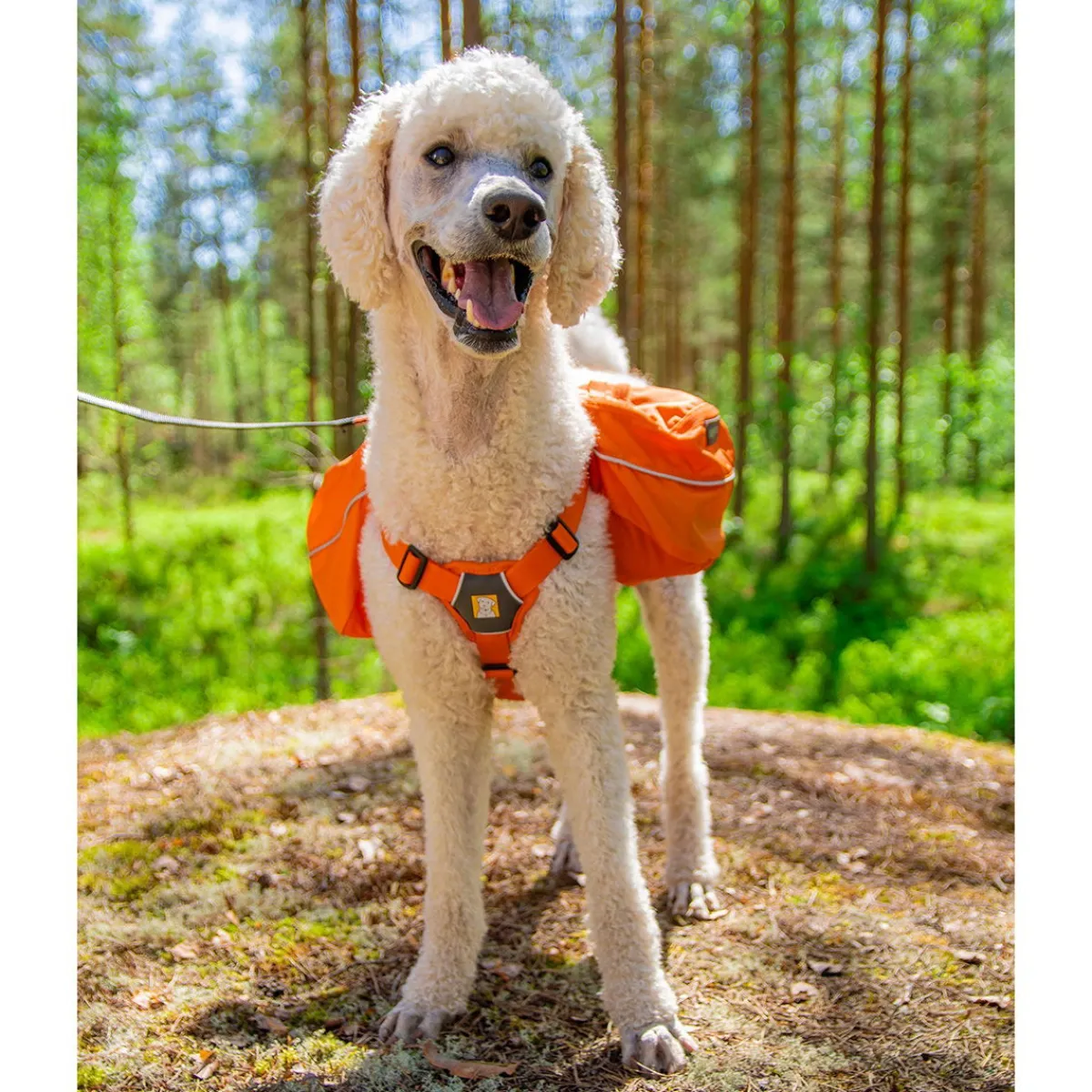 RuffWear Koiran Reput|Retkeily*Approach Pack reppu koiralle, oranssi