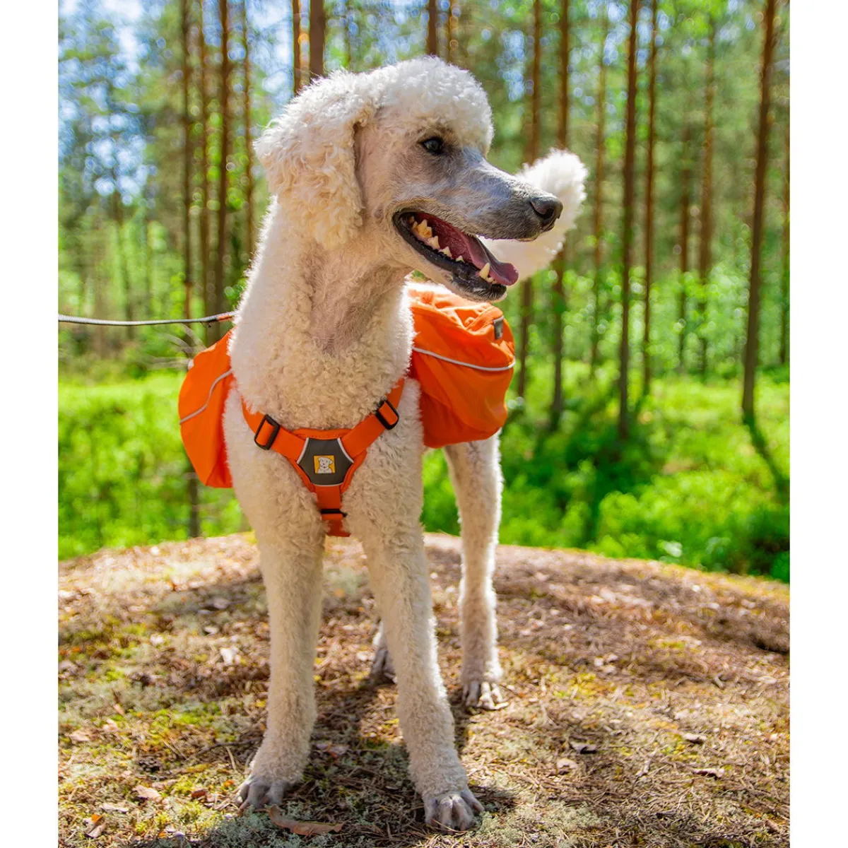 RuffWear Koiran Reput|Retkeily*Approach Pack reppu koiralle, oranssi