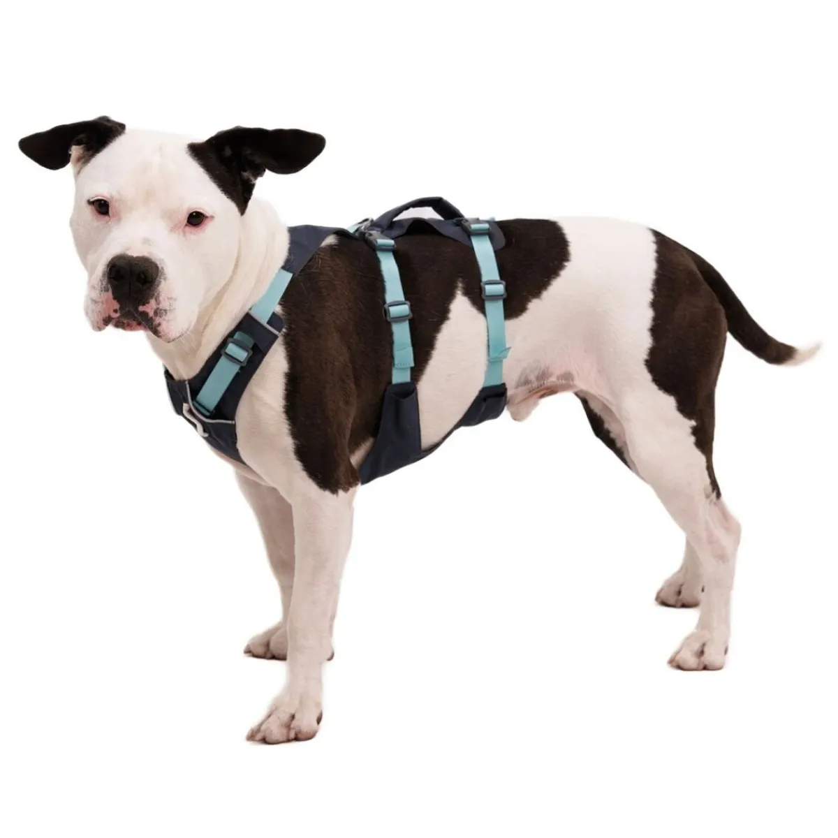 RuffWear Koiran Valjaat*Flagline valjaat, harmaa