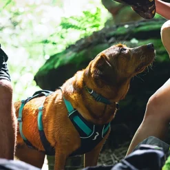 RuffWear Koiran Valjaat*Flagline valjaat, harmaa