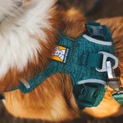RuffWear Koiran Valjaat*Front Range Flex koiranvaljaat, Deep Teal