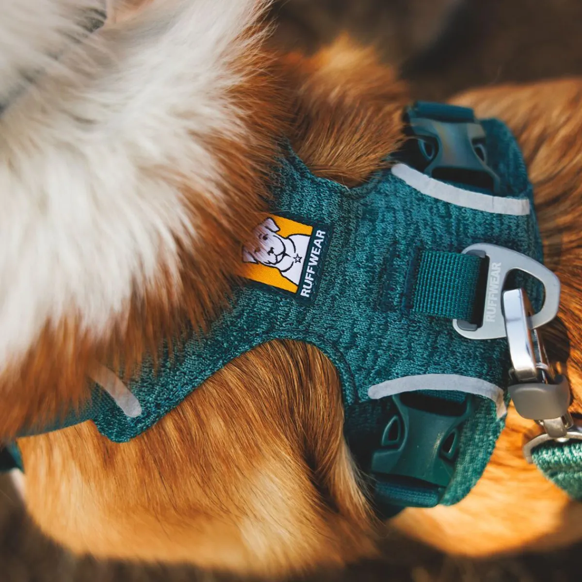 RuffWear Koiran Valjaat*Front Range Flex koiranvaljaat, Deep Teal