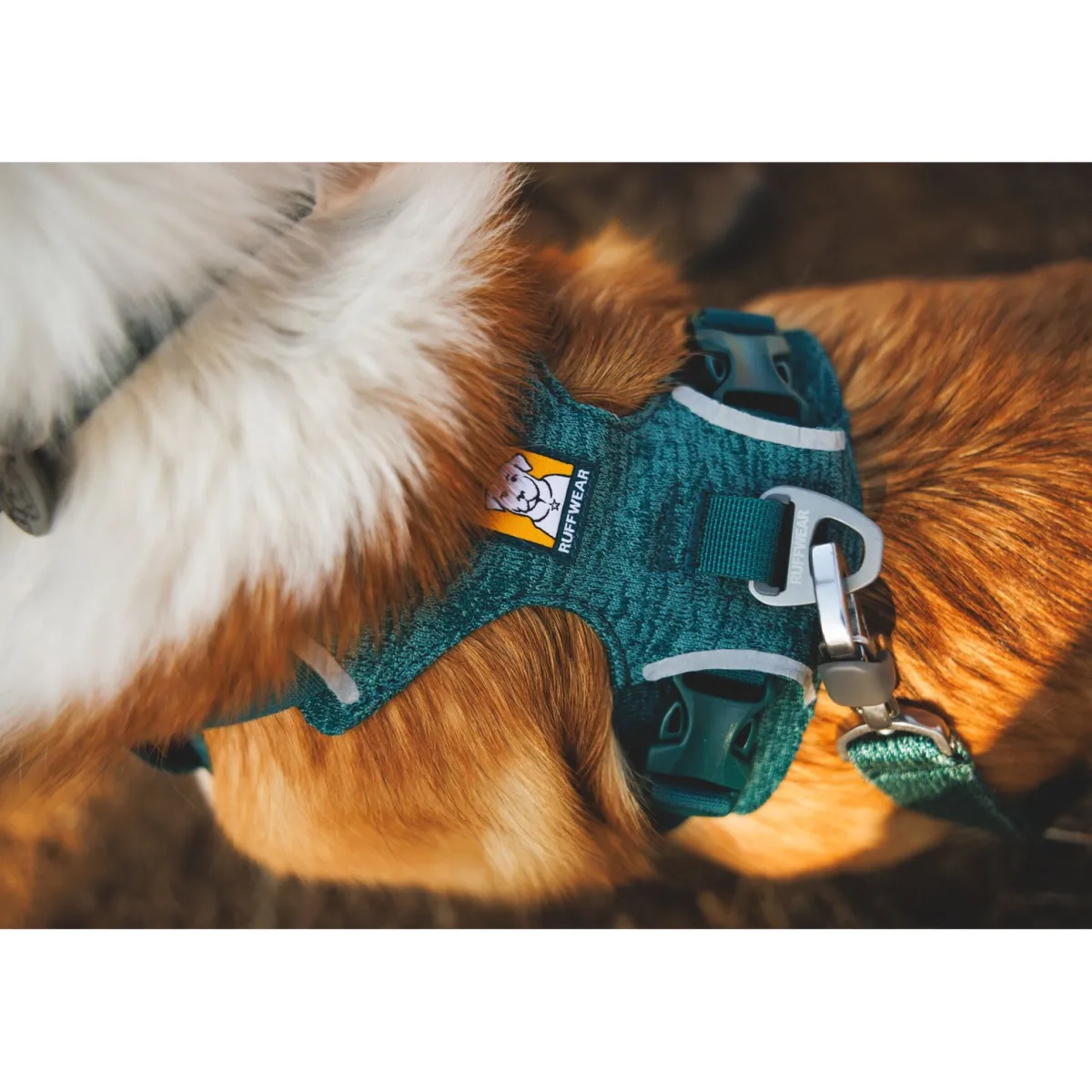 RuffWear Koiran Valjaat*Front Range Flex koiranvaljaat, Deep Teal