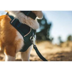 RuffWear Koiran Valjaat*Front Range Flex koiranvaljaat, Deep Teal