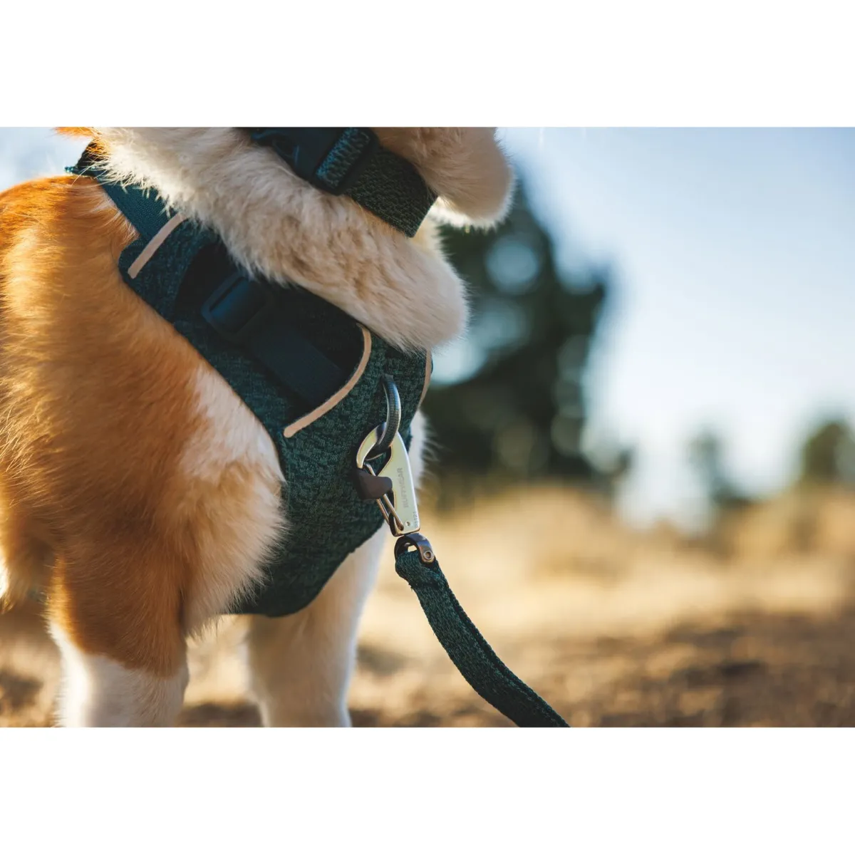 RuffWear Koiran Valjaat*Front Range Flex koiranvaljaat, Deep Teal