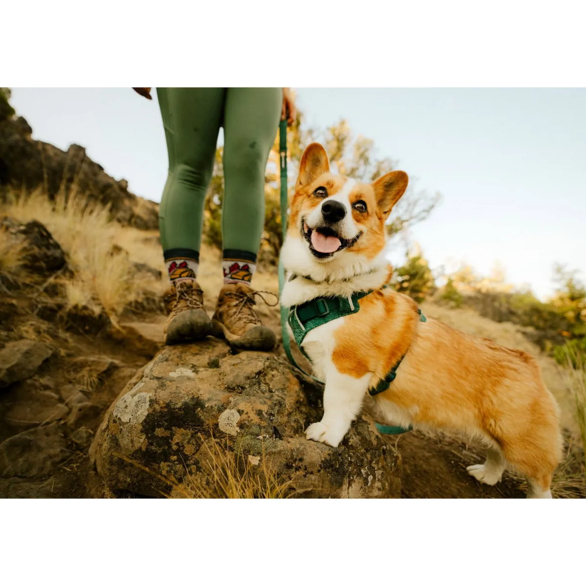 RuffWear Koiran Valjaat*Front Range Flex koiranvaljaat, Deep Teal