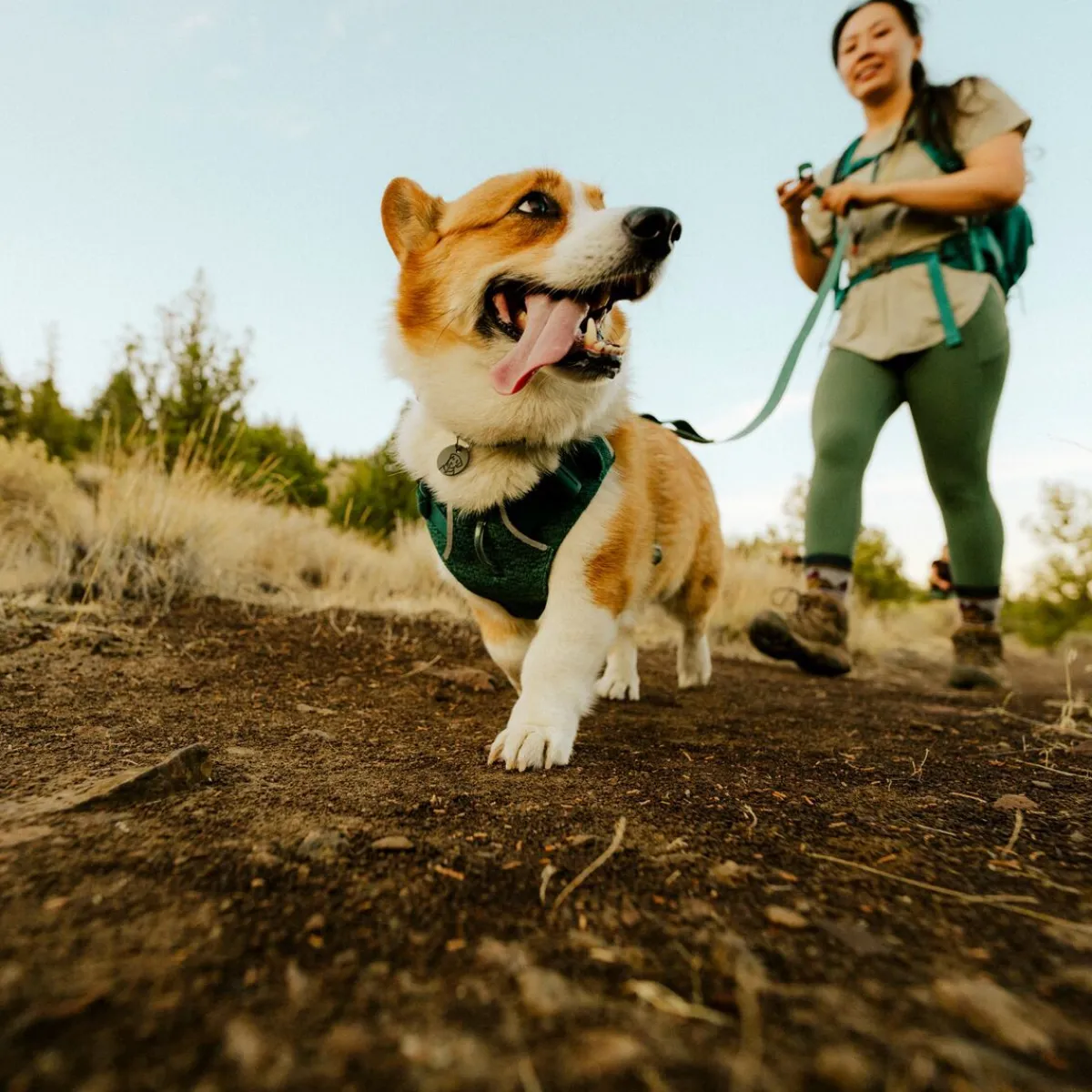RuffWear Koiran Valjaat*Front Range Flex koiranvaljaat, Deep Teal