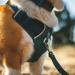 RuffWear Koiran Valjaat*Front Range Flex koiranvaljaat, Deep Teal