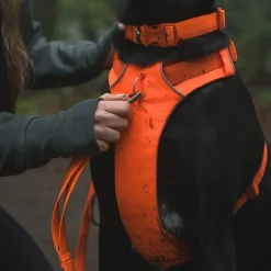 RuffWear Koiran Valjaat*Front Range valjaat, Blaze Orange