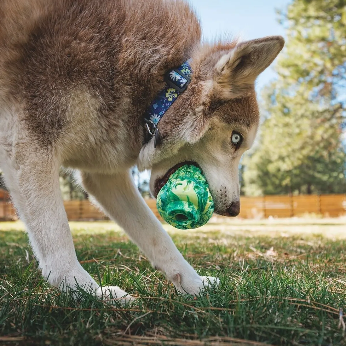 RuffWear Koiran Aktivointilelut Ja -Pelit*Morel™