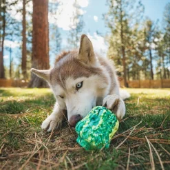 RuffWear Koiran Aktivointilelut Ja -Pelit*Morel™