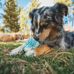 RuffWear Koiran Aktivointilelut Ja -Pelit*Morel™