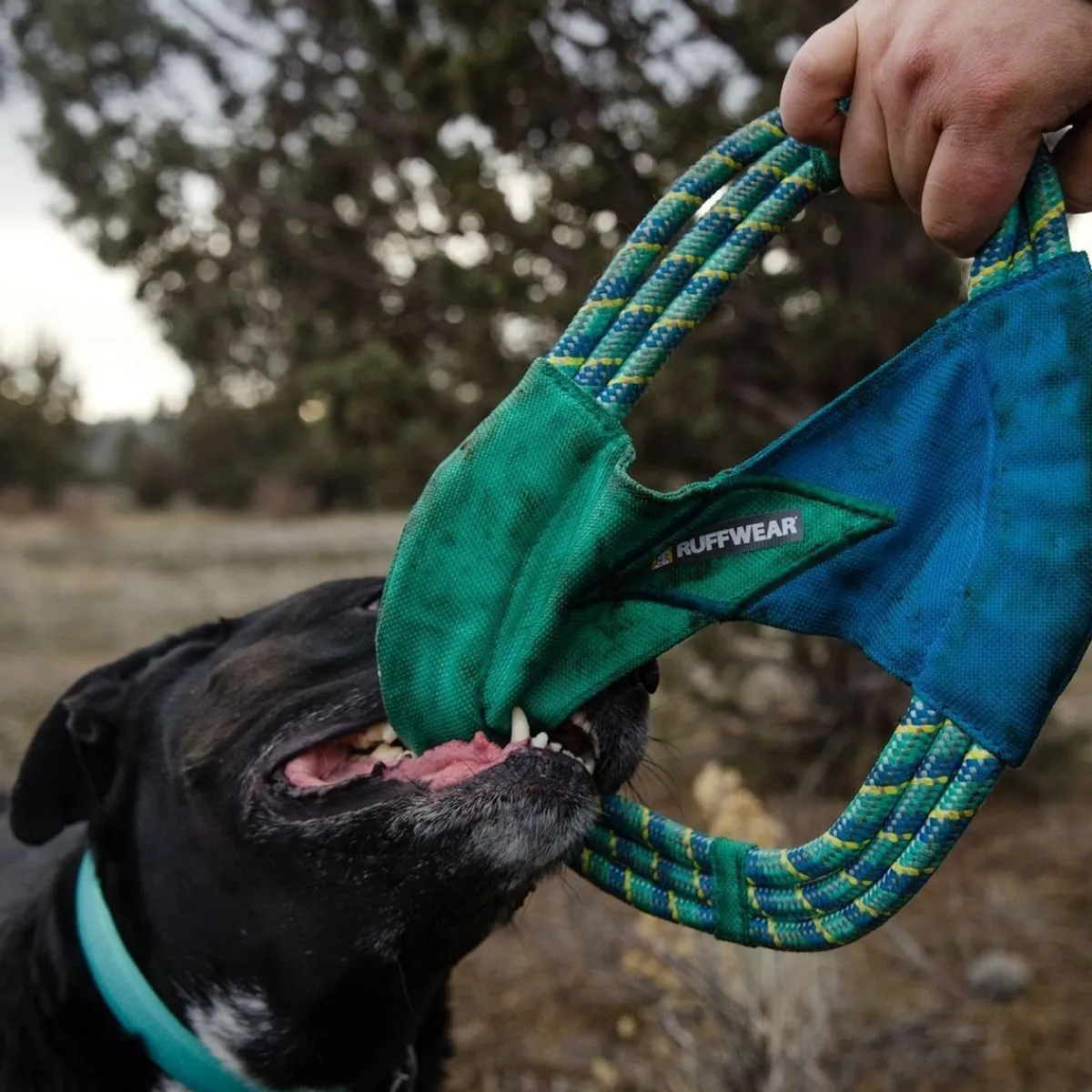 RuffWear Koiran Vetolelut|Koiran Pallot Ja Heittolelut*Pacific Ring koiranlelu, turkoosi