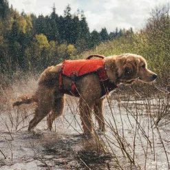 RuffWear Koiran Vaatteet|Pelastusliivit*Pelastusliivi Confluence, Tangelo Orange