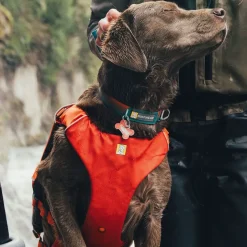 RuffWear Koiran Vaatteet|Pelastusliivit*Pelastusliivi Confluence, Tangelo Orange