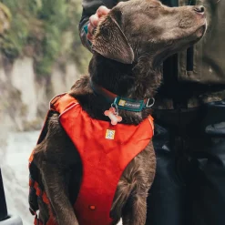 RuffWear Koiran Vaatteet|Pelastusliivit*Pelastusliivi Confluence, Tangelo Orange
