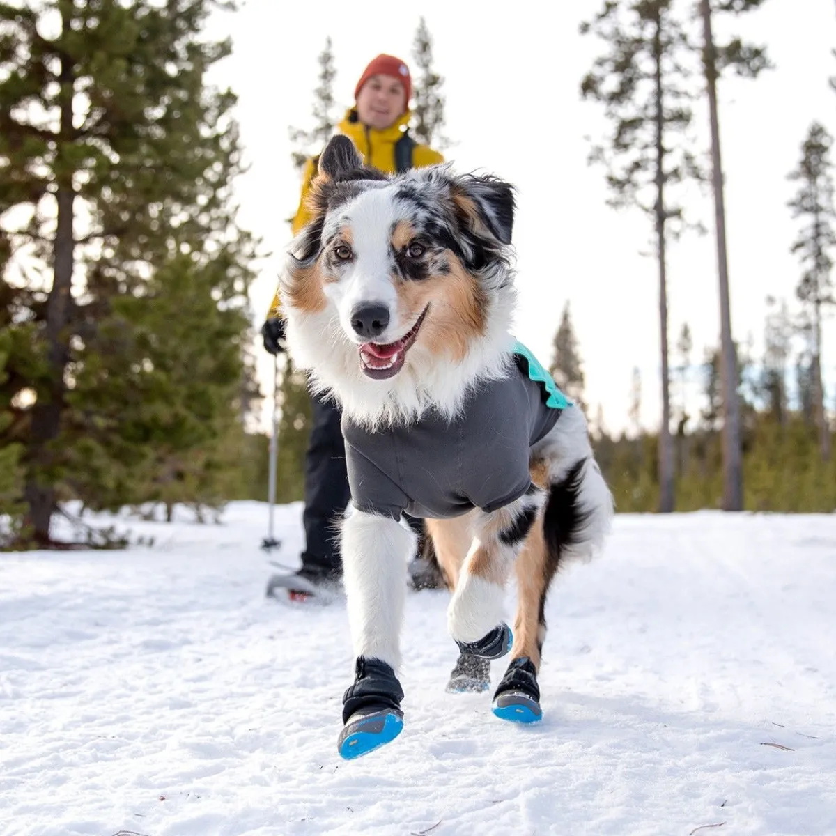 RuffWear Koiran Vaatteet|Koiran Tossut*Polar Trex - tossut 2kpl, musta