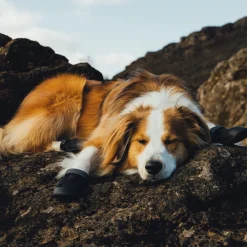 RuffWear Koiran Vaatteet|Koiran Tossut*Ridgeline -koiran kengät