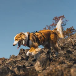 RuffWear Koiran Vaatteet|Koiran Tossut*Ridgeline -koiran kengät