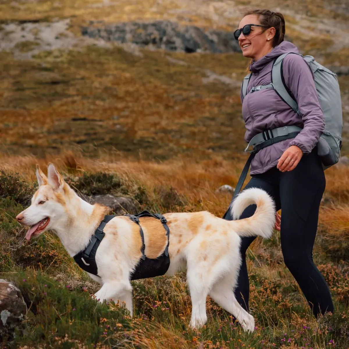 RuffWear Koiran Hihnat Ja Flexit*Ridgeline talutin