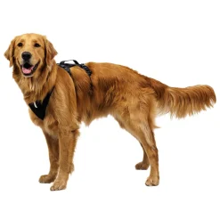RuffWear Koiran Valjaat*Ridgeline valjaat, Obsidian Black