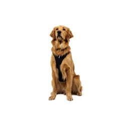 RuffWear Koiran Valjaat*Ridgeline valjaat, Obsidian Black