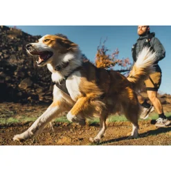 RuffWear Koiran Valjaat*Ridgeline valjaat, Obsidian Black