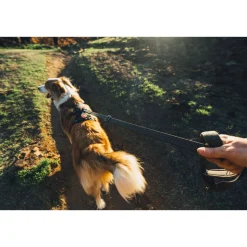 RuffWear Koiran Valjaat*Ridgeline valjaat, Obsidian Black