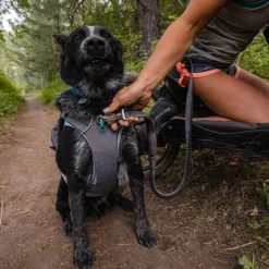 RuffWear Koiran Hihnat Ja Flexit|Retkeily Koiran Kanssa*Roamer joustotalutin, harmaa