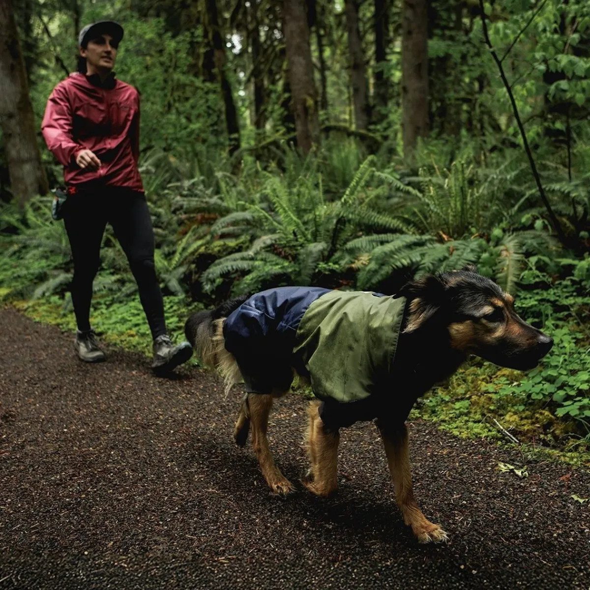 RuffWear Koiran Takit|Koiran Haalarit*Sun Shower sadehaalari, Midnight Blue