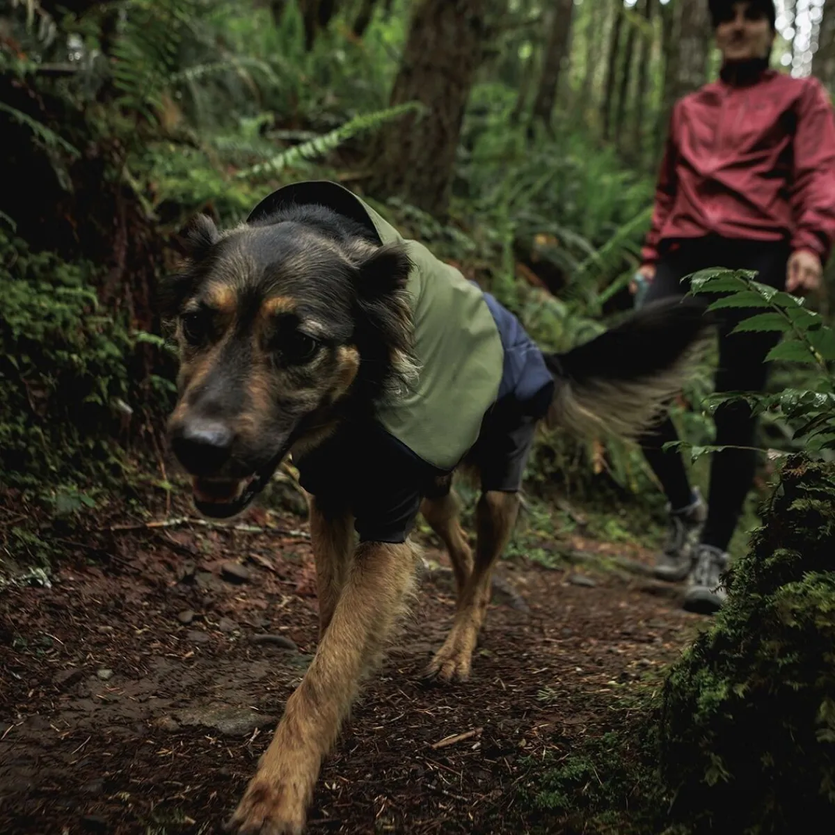 RuffWear Koiran Takit|Koiran Haalarit*Sun Shower sadehaalari, Midnight Blue