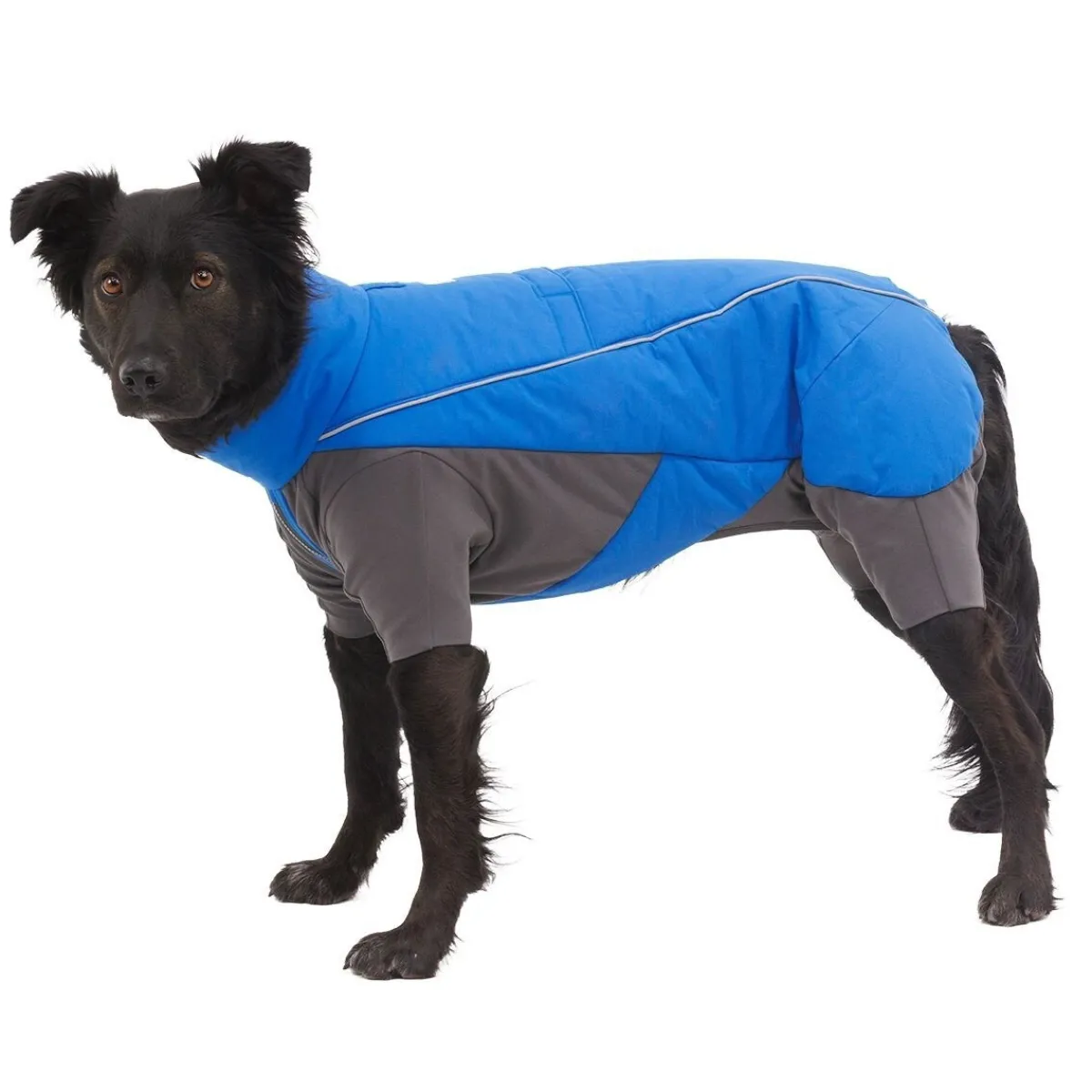 RuffWear Koiran Vaatteet|Koiran Talvitakit*Vert koiran talvihaalari, sininen