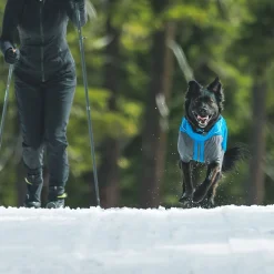 RuffWear Koiran Vaatteet|Koiran Talvitakit*Vert koiran talvihaalari, sininen