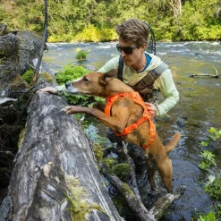 RuffWear Koiran Valjaat*Web Master valjaat koiralle, Blaze Orange