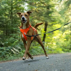 RuffWear Koiran Valjaat*Web Master valjaat koiralle, Blaze Orange