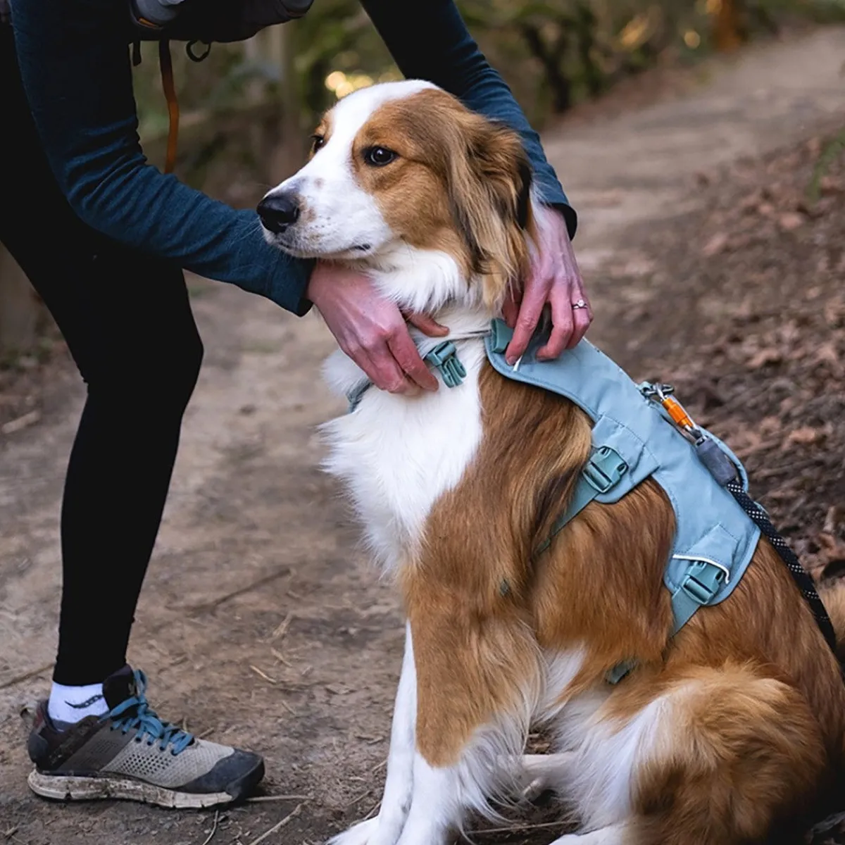 RuffWear Koiran Valjaat*Web Master, valjas River Rock Green