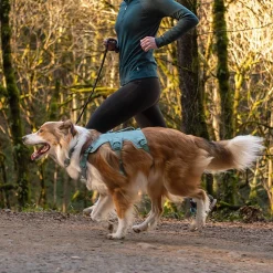 RuffWear Koiran Valjaat*Web Master, valjas River Rock Green