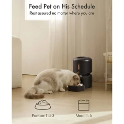 Petlibro Kissan Ruoka-Automaatit|Ruoka-Automaatit*Ruoka-automaatti kissalle Granary 3 L