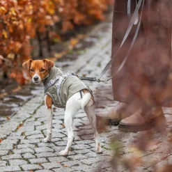 Trixie Koiran Takit|Koiran Vaatteet*Sadetakki valjailla Pontis, oliivinvihreä