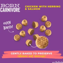 Schesir Viljaton Kissanruoka|Kissan Kuivaruoka*Born Carnivore kana & silli
