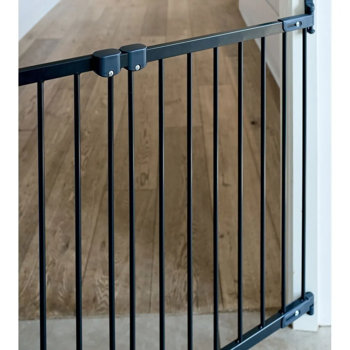 DogSpace Portit|Häkit*Säädettävä koiraportti Molly 67-105 cm