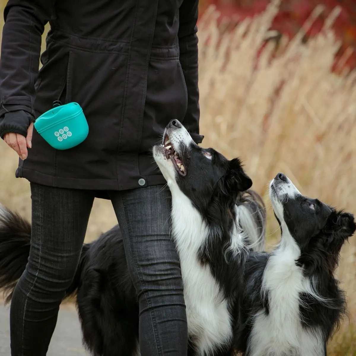 Pro Dog Makupalapussit*Silikoninen makupalapussi , turkoosi
